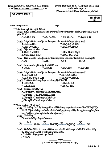 Đề kiểm tra học kì 1 môn Hóa học lớp 9 - Năm học 2016-2017 - Trường PTDT Nội trú - Đăk Rlấp - Mã đề 112