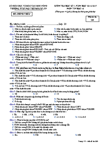 Đề kiểm tra học kì 1 môn Tin học lớp 10 - Năm học 2016-2017 - Trường PTDT Nội trú Đăk Rlấp - Mã đề 209