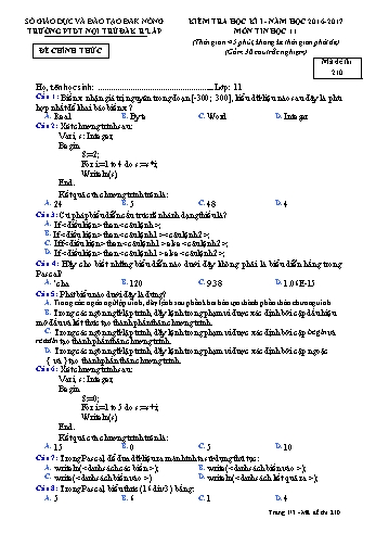 Đề kiểm tra học kì 1 môn Tin học lớp 11 - Năm học 2016-2017 - Trường PTDT Nội trú Đăk Rlấp - Mã đề 210