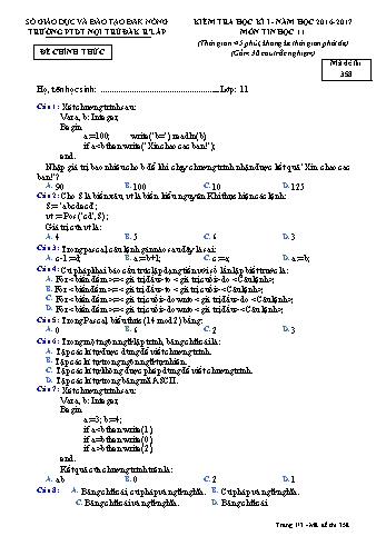 Đề kiểm tra học kì 1 môn Tin học lớp 11 - Năm học 2016-2017 - Trường PTDT Nội trú Đăk Rlấp - Mã đề 358