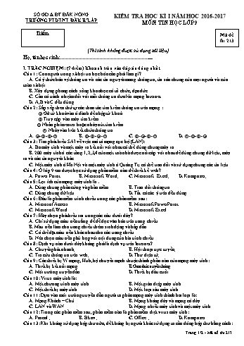 Đề kiểm tra học kì 1 môn Tin học lớp 9 - Năm học 2016-2017 - Trường PTDT NT - Đăkrlấp - Mã đề 213