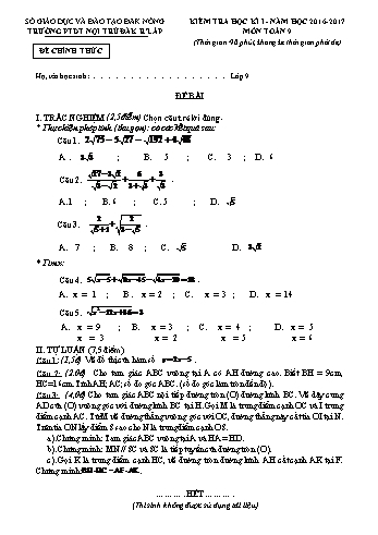 Đề kiểm tra học kì 1 môn Toán lớp 9 - Trường PTDT Nội trú Đăk Rlấp - Năm học 2016-2017 (Có đáp án)