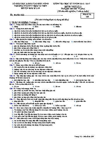 Đề kiểm tra học kì 2 môn Vật lý lớp 11 - Năm học 2016-2017 - Trường PTDT Nội trú Đăk Rlấp - Mã đề 209