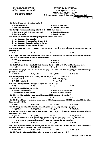 Đề kiểm tra tập trung môn Hóa học Lớp 11 lần 2 - Năm học 2017-2018 - Trường THPT Gia Nghĩa - Mã đề thi 206