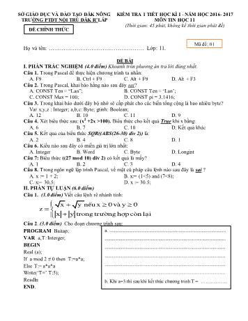 Kiểm tra 1 tiết học kì 1 môn Tin học 11 - Năm học 2016-2017 - Trường PTDT NT - Đăkrlấp (Có đáp án và hướng dẫn chấm)