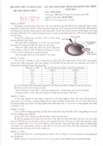 Kỳ thi chọn học sinh giỏi Quốc gia THPT môn Sinh học - Năm học 2016-2017