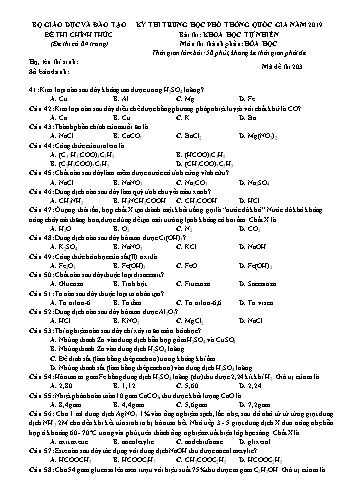 4 Đề thi Trung học phổ thông Quốc gia môn Hóa học năm 2019 - Sở GD&ĐT Hậu Giang