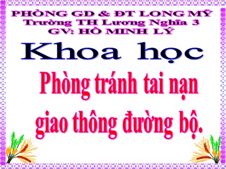 Bài giảng Khoa học Lớp 5 - Bài 19: Phòng tránh tai nạn giao thông đường bộ - Hồ Minh Lý