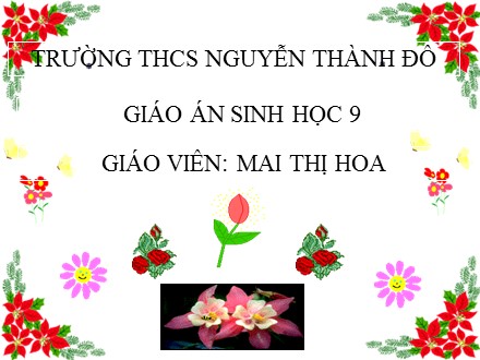 Bài giảng Sinh học Lớp 9 - Tiết 21, Bài 21: Đột biến gen - Mai Thị Hoa