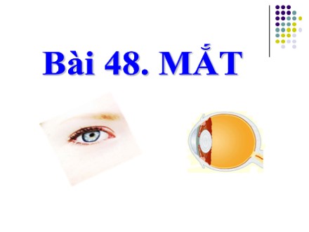 Bài giảng Vật lý Lớp 9 - Tiết 52, Bài 48: Mắt