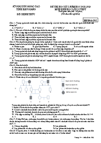 Đề kiểm tra học kì I môn Sinh học Lớp 12 - Mã đề: 302 - Năm học 2018-2019 - Sở GD&ĐT Hậu Giang (Kèm đáp án)