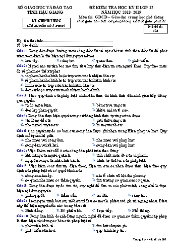 Đề kiểm tra học kì II môn GDCD Lớp 12 - Mã đề: 603 - Năm học 2018-2019 - Sở GD&ĐT Hậu Giang