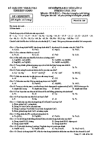 Đề kiểm tra học kì II môn Hóa học Lớp 12 - Mã đề: 204 - Năm học 2018-2019 - Sở GD&ĐT Hậu Giang