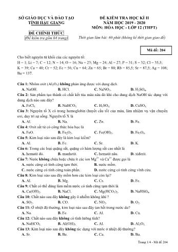 Đề kiểm tra học kì II môn Hóa học Lớp 12 - Mã đề: 204 - Năm học 2019-2020 - Sở GD&ĐT Hậu Giang (Kèm đáp án)