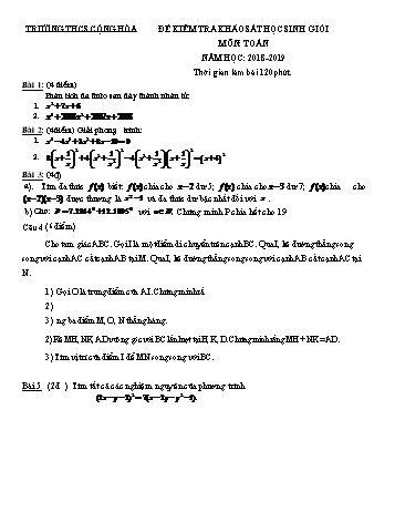 Đề kiểm tra khảo sát học sinh giỏi môn Toán Lớp 8 - Năm học 2018-2019 - Trường THCS Cộng Hòa (Có đáp án)