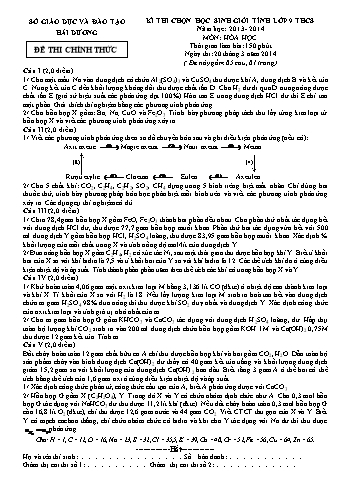 Đề thi chọn học sinh giỏi Tỉnh môn Hóa học Lớp 9 THCS - Năm học 2013-2014 - Sở GD&ĐT Hải Dương (Có đáp án)