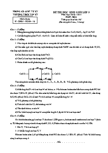 Đề thi học sinh giỏi môn Hóa học Lớp 9 - Năm học 2010-2011 - Trường THCS Tân Kỳ (Có đáp án)