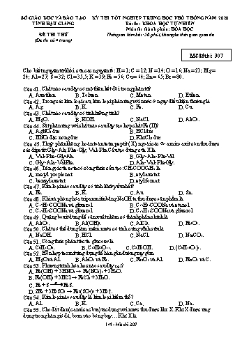 Đề thi thử Tốt nghiệp THPT môn Hóa học năm 2020 - Mã đề: 307 - Sở GD&ĐT Hậu Giang (Kèm đáp án)