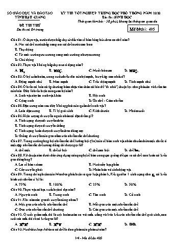 Đề thi thử Tốt nghiệp THPT môn Sinh học năm 2020 - Mã đề: 405 - Sở GD&ĐT Hậu Giang (Kèm đáp án)