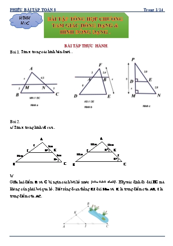 Phiếu bài tập môn Toán Lớp 8 - Bài tập: Tổng hợp chương tam giác đồng dạng & hình đồng dạng