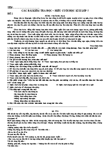 22 Đề ôn tập cuối học kì II môn Tiếng Việt (Đọc hiểu) Lớp 5