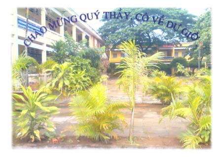 Bài giảng Địa lí 8 - Bài 29: Đặc điểm các khu vực địa hình