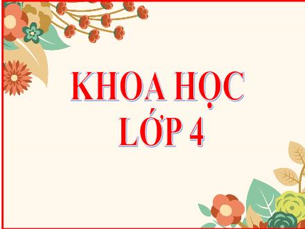 Bài giảng Khoa học 4 - Bài 14: Phòng một số bệnh lây qua đường tiêu hóa - Năm học 2021-2022