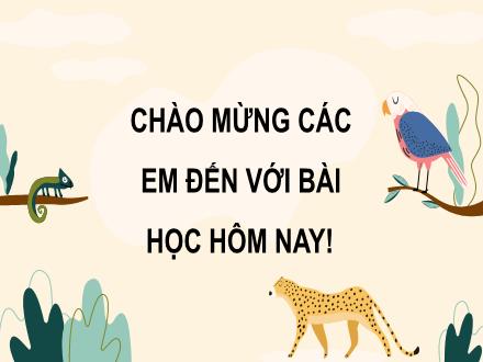 Bài giảng Khoa học 4 - Bài 30: Vai trò của thực vật trong chuỗi thức ăn