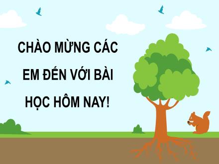 Bài giảng Khoa học 4 - Bài 31: Ôn tập chủ đề sinh vật và môi trường