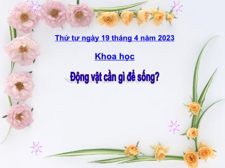 Bài giảng Khoa học 4 - Bài: Động vật cần gì để sống? - Năm học 2022-2023