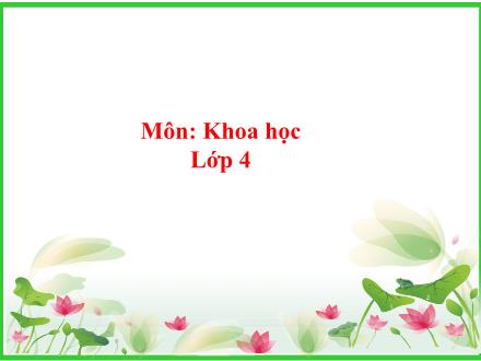 Bài giảng Khoa học 4 - Bài: Phòng tránh tai nạn đuối nước - Năm học 2021-2022