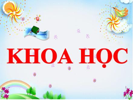 Bài giảng Khoa học 5 - Bài: Sự sinh sản của động vật - Năm học 2023-2024