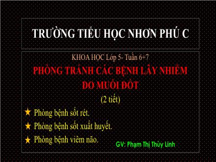 Bài giảng Khoa học 5 - Tuần 6+7, Bài: Phòng tránh các bệnh lây nhiễm do muỗi đốt