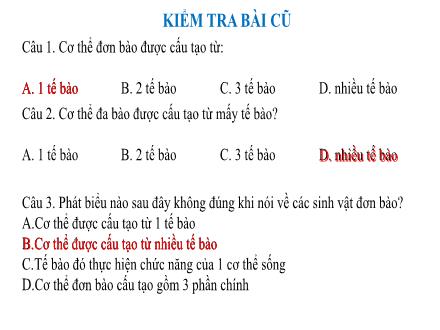Bài giảng Khoa học tự nhiên 6 - Bài 23: Tổ chức cơ thể đa bào