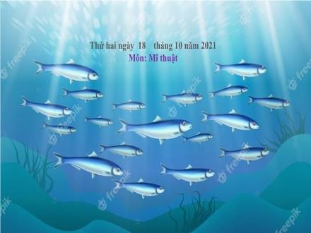 Bài giảng Mĩ thuật 2 - Chủ đề 1: Đại dương mênh mông - Bài 2: Những con vật dưới đại dương (Tiết 1) - Năm học 2021-2022