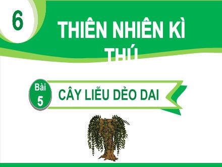 Bài giảng Tiếng Việt 1 - Chủ đề 6: Thiên nhiên kì thú - Bài 5: Cây liễu dẻo dai (Tiết 3+4)