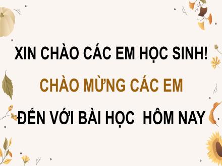 Bài giảng Tiếng Việt 4 - Bài 19: Tập đọc Thanh âm của núi