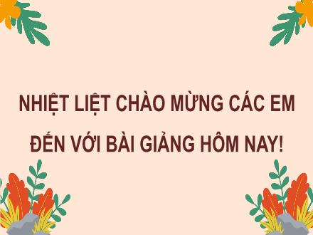 Bài giảng Tiếng Việt 4 - Bài 20: Tập đọc Chiều ngoại ô