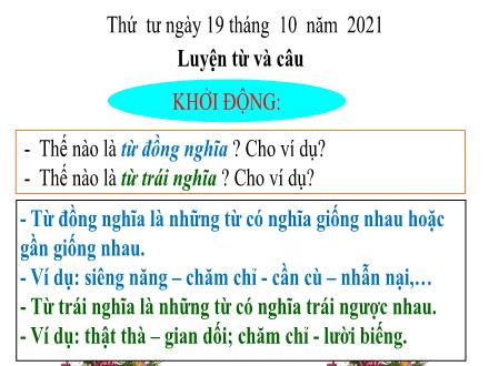 Bài giảng Tiếng Việt 5 (Luyện từ và câu) - Bài: Từ đồng âm - Năm học 2021-2022