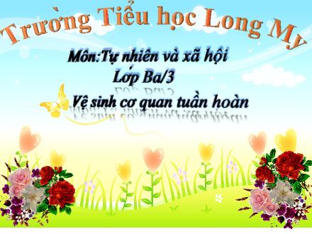 Bài giảng Tự nhiên & Xã hội 3 - Bài 6: Vệ sinh cơ quan tuần hoàn - Lê Hoàng Trung