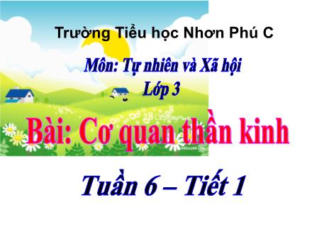 Bài giảng Tự nhiên & Xã hội 3 - Tuần 6, Bài: Cơ quan thần kinh - Năm học 2021-2022 - Trường Tiểu học Như Phúc C