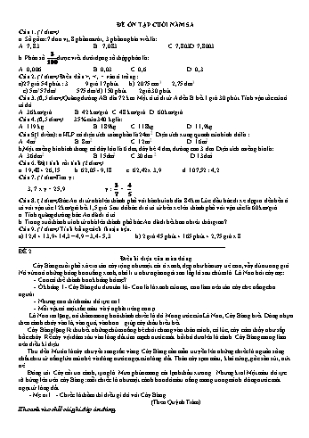 Bộ đề ôn tập học kì 1 môn Toán + Tiếng Việt Lớp 5