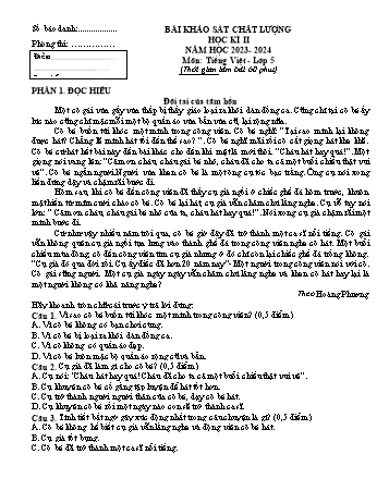 Đề khảo sát chất lượng học kỳ II năm học 2023-2024 môn Tiếng Việt Lớp 5 (Có đáp án)
