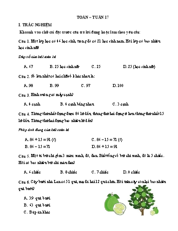 Đề ôn tập Toán Lớp 2 - Tuần 17