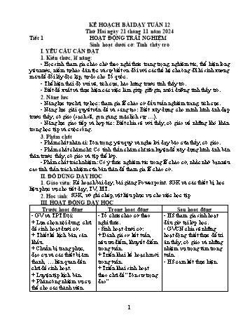 Kế hoạch bài dạy Lớp 5 - Tuần 12 - Năm học 2024-2025