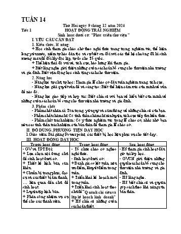Kế hoạch bài dạy Lớp 5 - Tuần 14 - Năm học 2024-2025