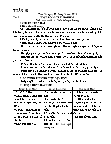 Kế hoạch bài dạy Lớp 5 - Tuần 28 - Năm học 2024-2025