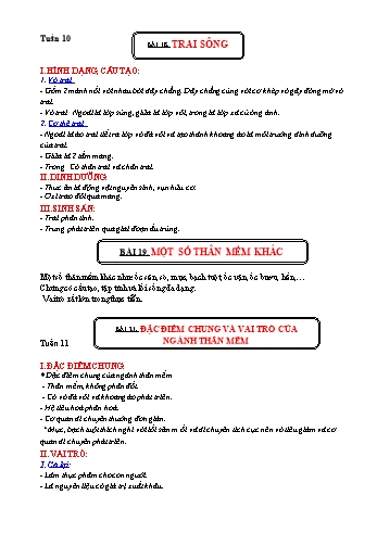Kế hoạch bài dạy Sinh học 7 - Tuần 10 đến 17
