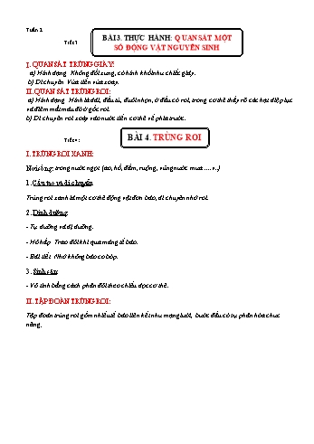 Kế hoạch bài dạy Sinh học 7 - Tuần 2 đến 4