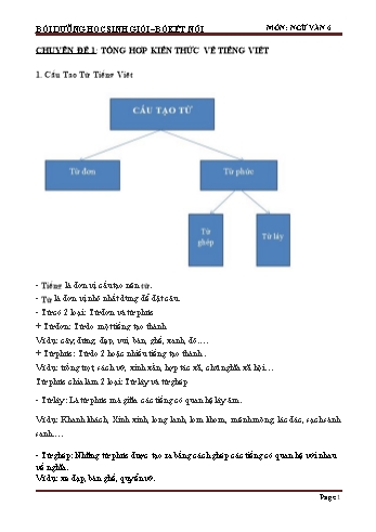 Tài liệu bồi dưỡng học sinh giỏi môn Ngữ văn 6 Sách Kết nối tri thức